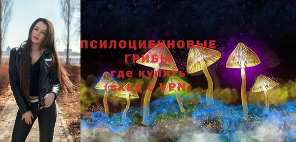 ECSTASY Медногорск