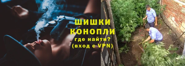 бошки Мегион