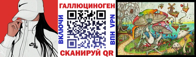 наркошоп Монино Галлюциногенные грибы Psilocybine cubensis